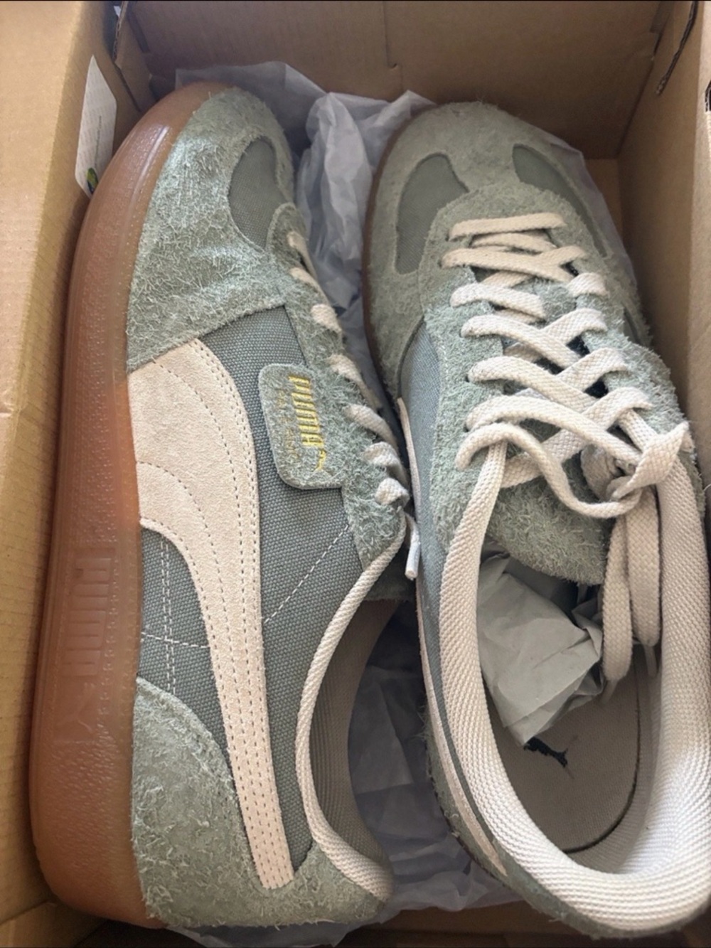 Puma Mens Sage Green and Cream Suede Sneakers